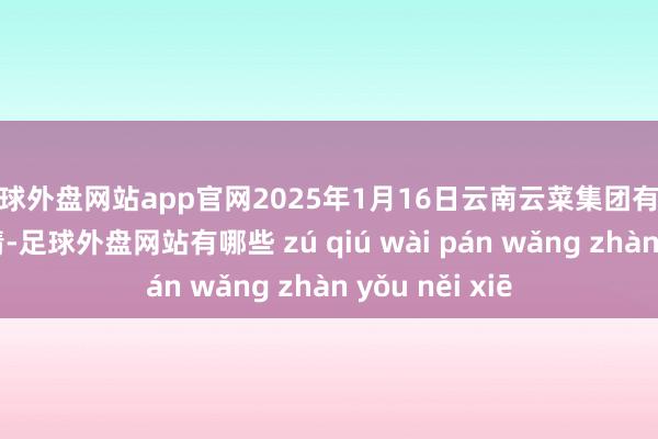 足球外盘网站app官网2025年1月16日云南云菜集团有限公司价钱行情-足球外盘网站有哪些 zú qiú wài pán wǎng zhàn yǒu něi xiē