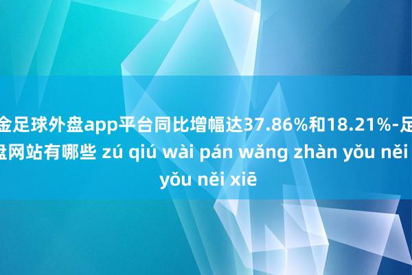 现金足球外盘app平台同比增幅达37.86%和18.21%-足球外盘网站有哪些 zú qiú wài pán wǎng zhàn yǒu něi xiē