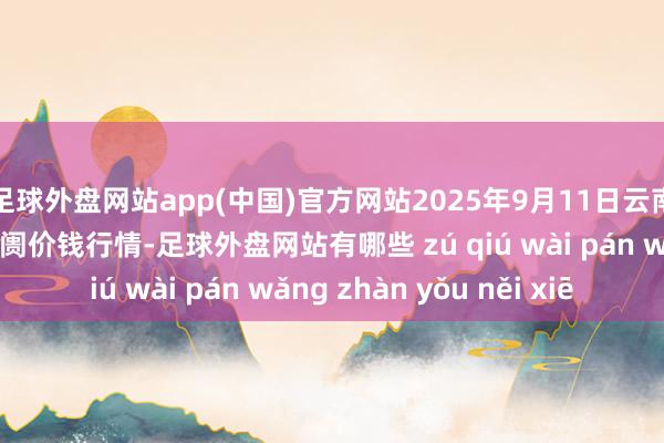 足球外盘网站app(中国)官方网站2025年9月11日云南通海金山蔬菜批发阛阓价钱行情-足球外盘网站有哪些 zú qiú wài pán wǎng zhàn yǒu něi xiē