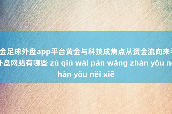 现金足球外盘app平台　　黄金与科技成焦点　　从资金流向来看-足球外盘网站有哪些 zú qiú wài pán wǎng zhàn yǒu něi xiē