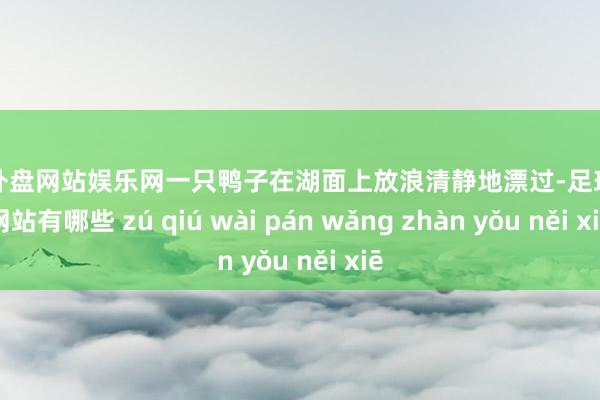足球外盘网站娱乐网一只鸭子在湖面上放浪清静地漂过-足球外盘网站有哪些 zú qiú wài pán wǎng zhàn yǒu něi xiē