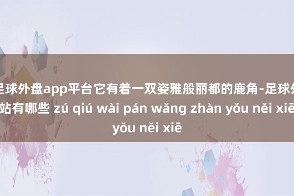 现金足球外盘app平台它有着一双姿雅般丽都的鹿角-足球外盘网站有哪些 zú qiú wài pán wǎng zhàn yǒu něi xiē