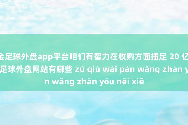 现金足球外盘app平台咱们有智力在收购方面插足 20 亿至 25 亿欧元-足球外盘网站有哪些 zú qiú wài pán wǎng zhàn yǒu něi xiē